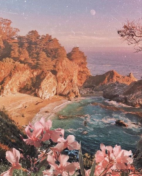 Эстетика природы