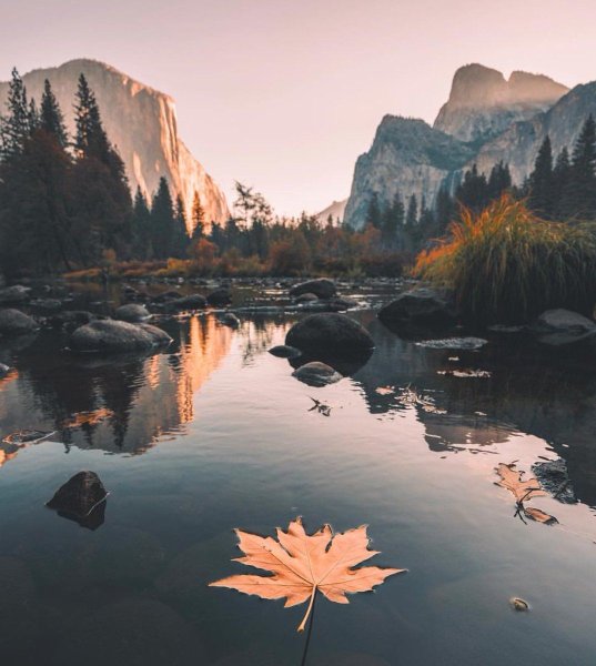 Эстетические пейзажи