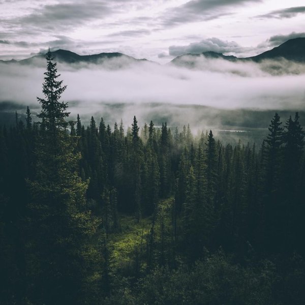 Горы в тумане