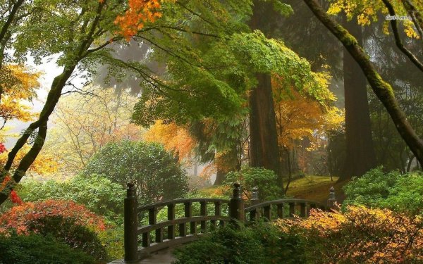 Волшебная осень