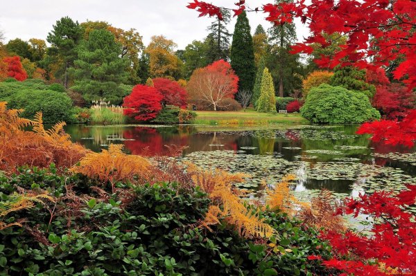 Пейзажный парк в Англии