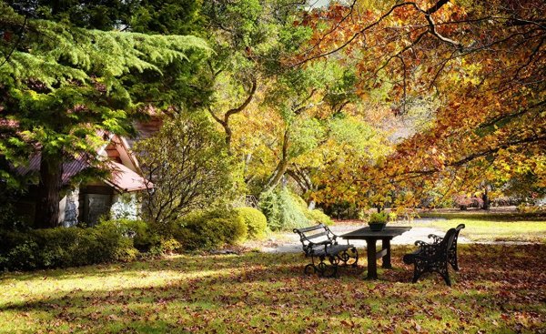 Осень в саду