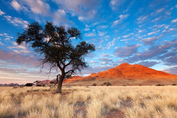 Саванны Австралии