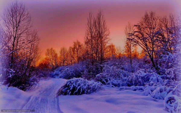 Зима. К вечеру