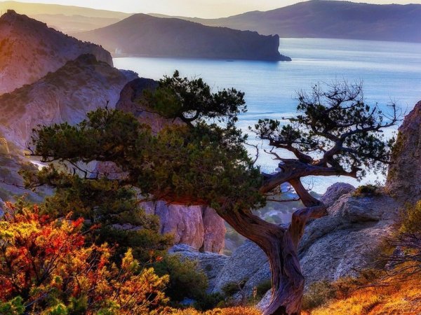 Крым природа Крыма