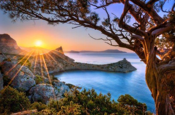 Новый свет Крым