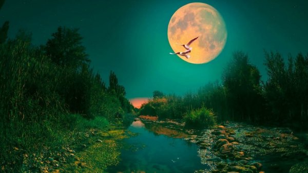 Лунный пейзаж