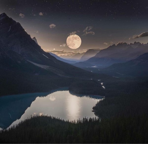 Красивая ночь