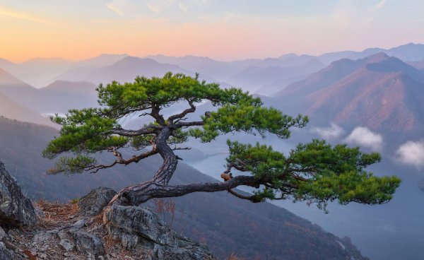 Фэнтези природа