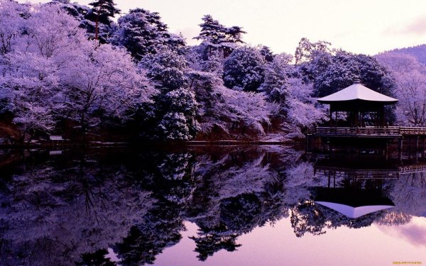 Гора Фудзияма и храм в Сакуре