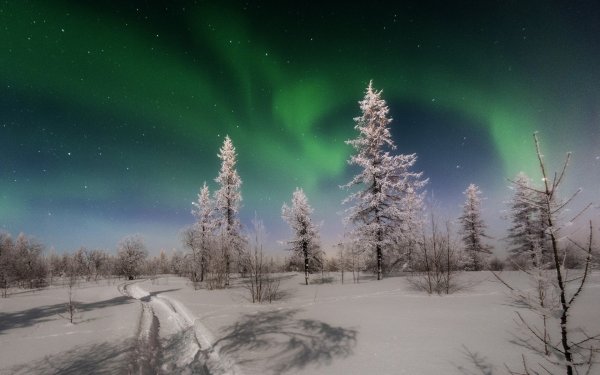 Природа севера зима