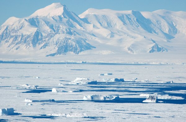 Северный полюс Антарктика
