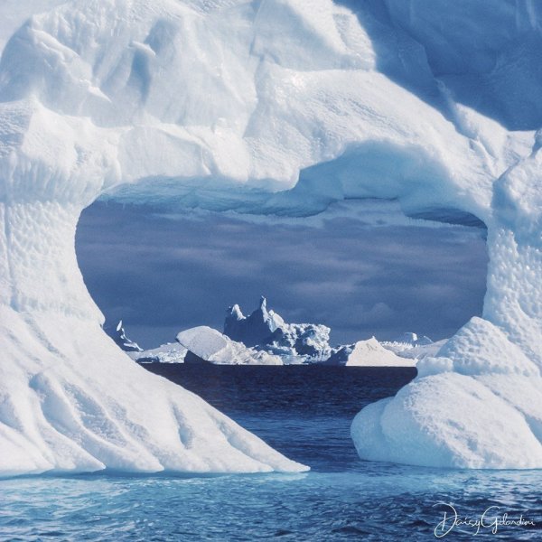 Арктика и Антарктика Арктика