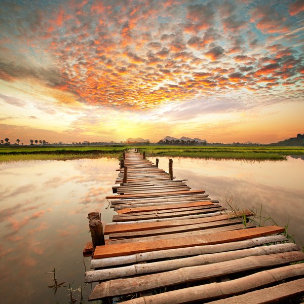 Фон перспектива природа