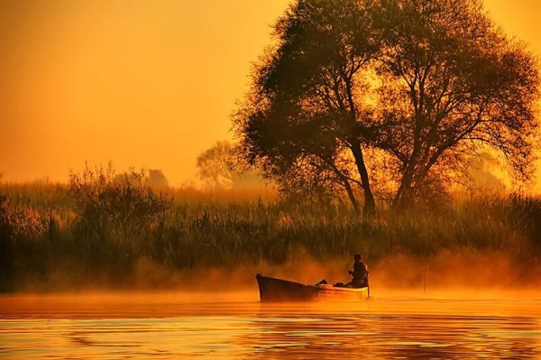 Картины природы в коричневых тонах