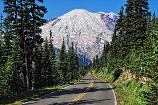 Лес и дорога Вашингтон