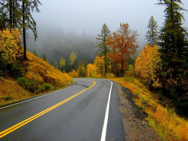 Трасса осенью