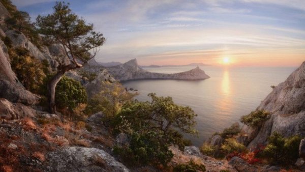 Симеиз скала дива маслом