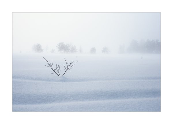 Зимний Минимализм