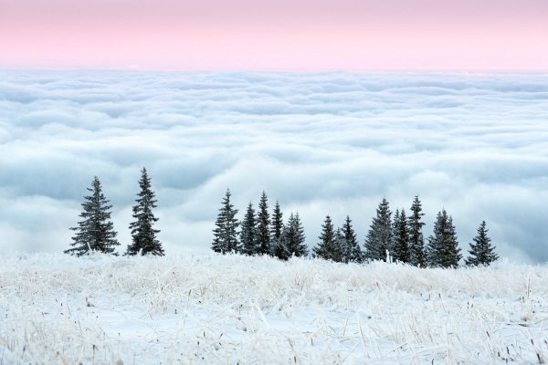 Зима Минимализм