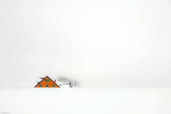 Белый пейзаж