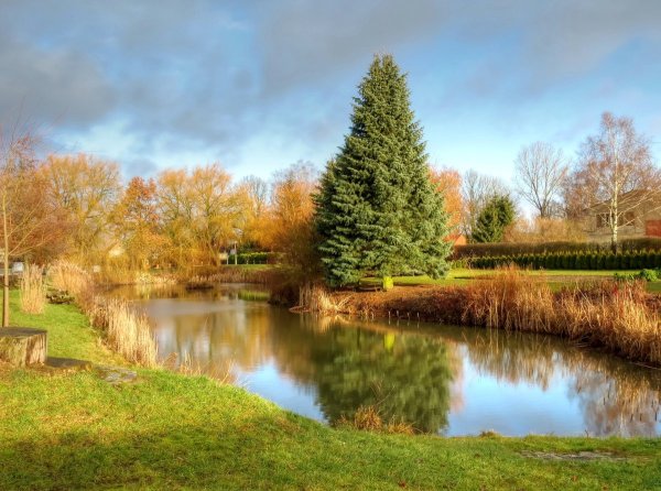 Природа в разные времена года