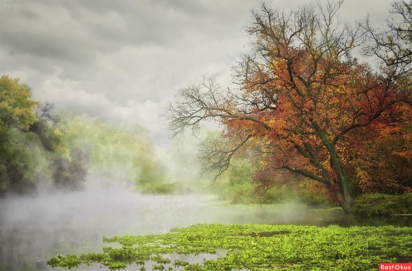 Времена года зима Весна лето осень