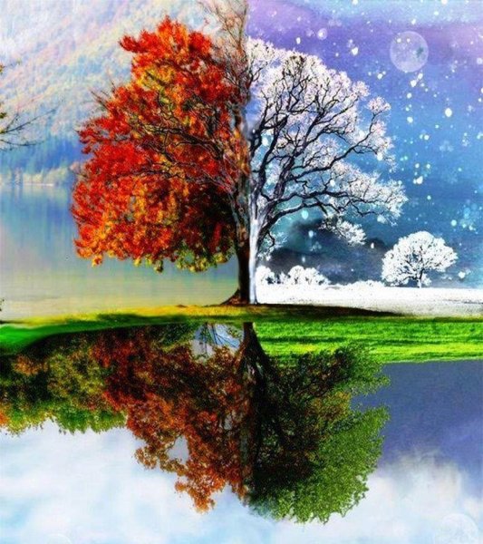 Пейзажи всех времен года