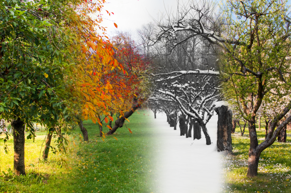 Пейзаж в Разное время года