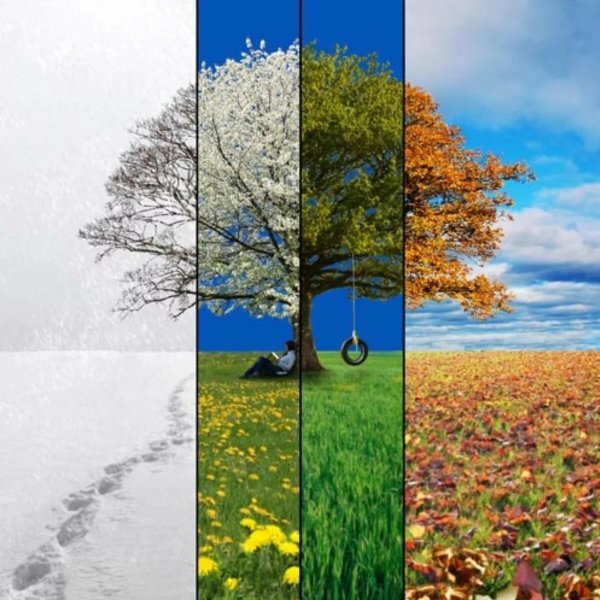 Природа зима Весна лето осень