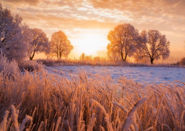 Февраль природа