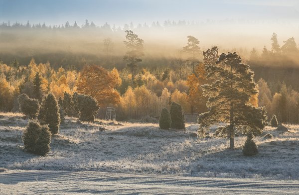 Осень зима природа