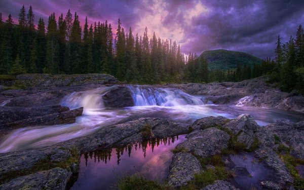 Красивая природа