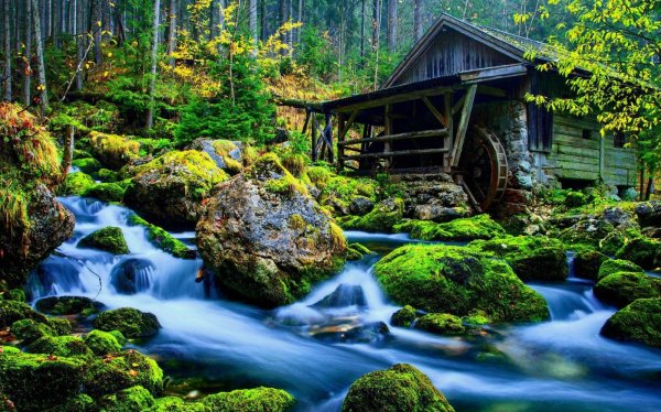 Сказочно красивые сады