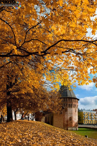 Смоленск осень