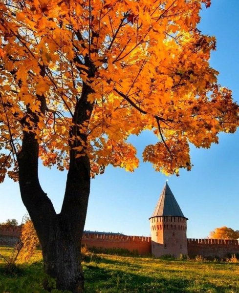 Осенний Смоленск