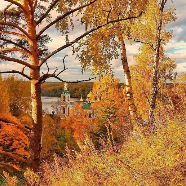 Царское село Пушкин Золотая осень