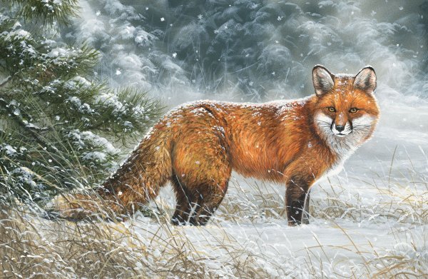 Пейзаж с лисой