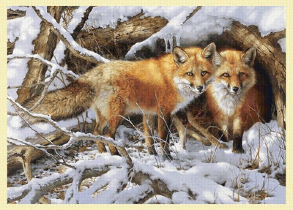 Bonnie Marris художник-анималист