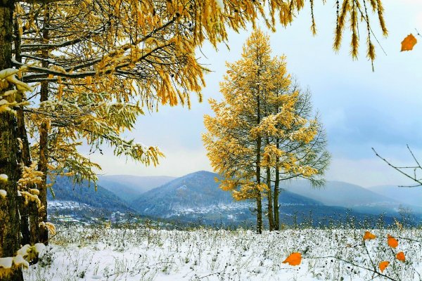 Ноябрь природа