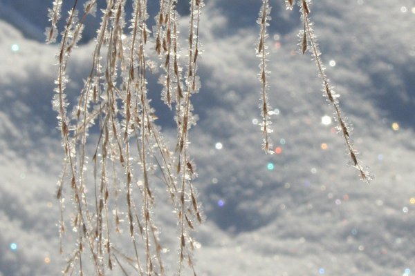 Снег блестит