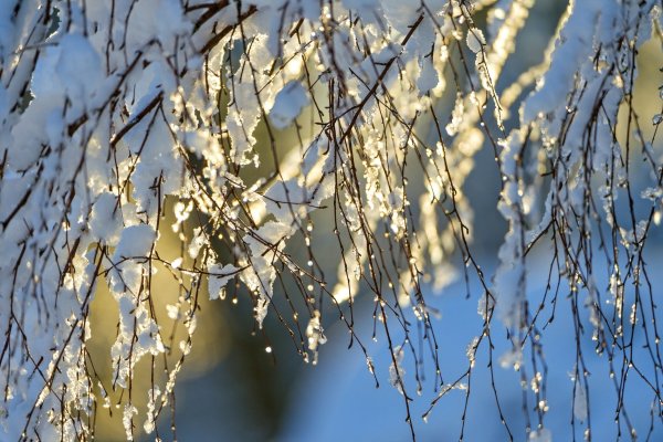Весна капель