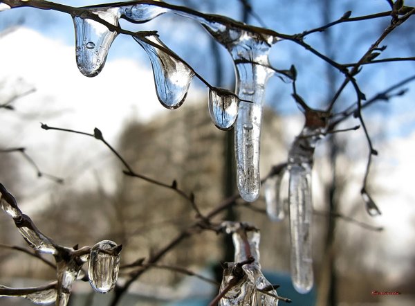 Весенняя капель