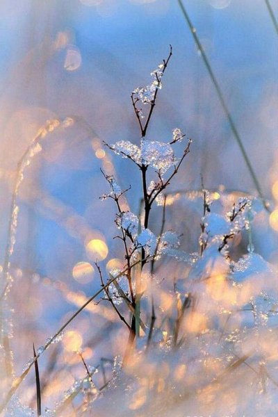 Олег Молчанов художник Сретенский монастырь