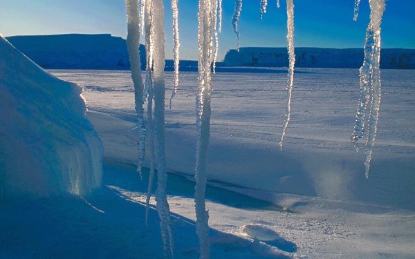 Март природа