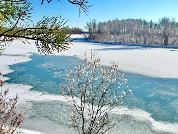 Зима переходящая в весну