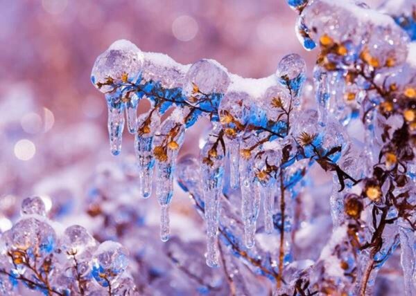 Снег весной