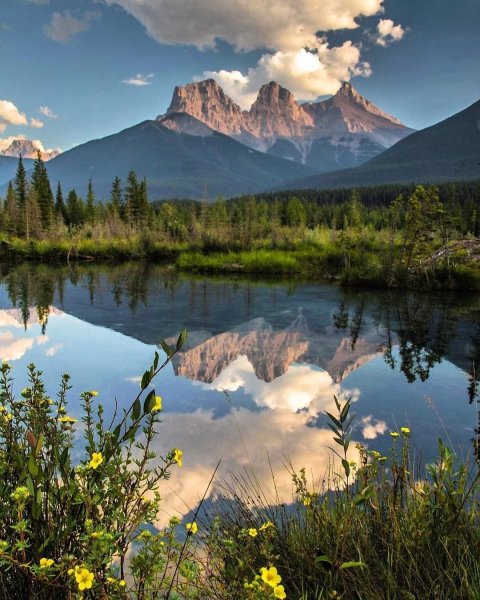 Березовая роща деревня река