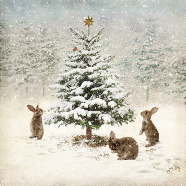 Художник Jane Crowther