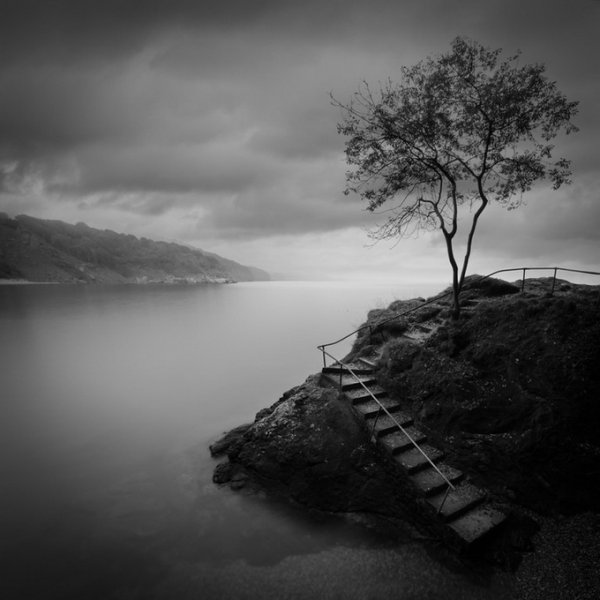 Ансель Адамс портрет